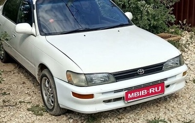 Toyota Corolla, 1994 год, 250 000 рублей, 1 фотография