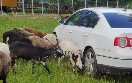 Volkswagen Passat B6, 2009 год, 755 000 рублей, 3 фотография