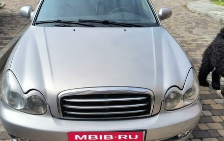 Hyundai Sonata IV рестайлинг, 2007 год, 666 000 рублей, 1 фотография