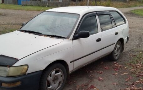 Toyota Corolla, 2000 год, 250 000 рублей, 1 фотография