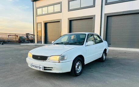 Toyota Corolla, 1999 год, 389 000 рублей, 2 фотография