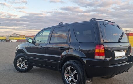 Ford Escape II, 2003 год, 498 000 рублей, 6 фотография