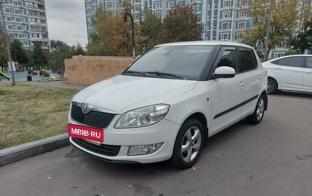 Skoda Fabia II, 2011 год, 840 000 рублей, 13 фотография