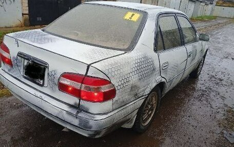 Toyota Corolla, 1997 год, 245 000 рублей, 2 фотография