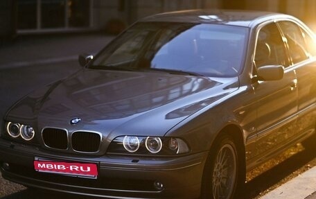 BMW 5 серия, 2002 год, 2 392 000 рублей, 3 фотография