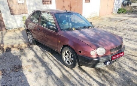 Toyota Corolla, 1997 год, 195 000 рублей, 1 фотография