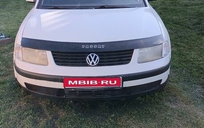 Volkswagen Passat B5+ рестайлинг, 1999 год, 320 000 рублей, 1 фотография