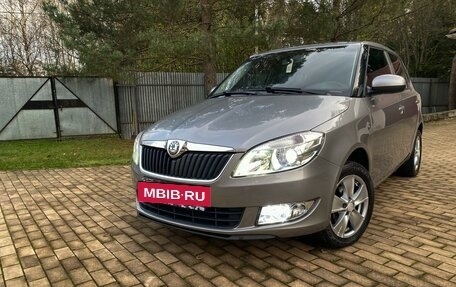 Skoda Fabia II, 2010 год, 500 000 рублей, 4 фотография