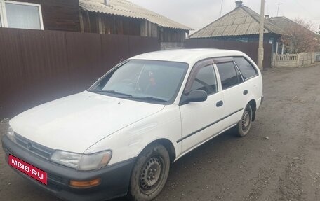 Toyota Corolla, 1996 год, 350 000 рублей, 1 фотография