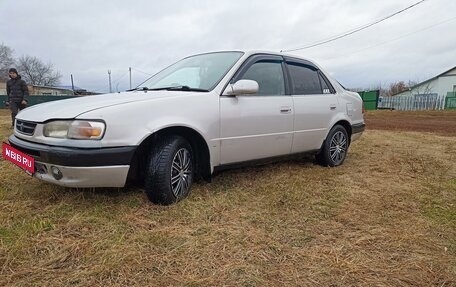 Toyota Corolla, 1996 год, 310 000 рублей, 1 фотография