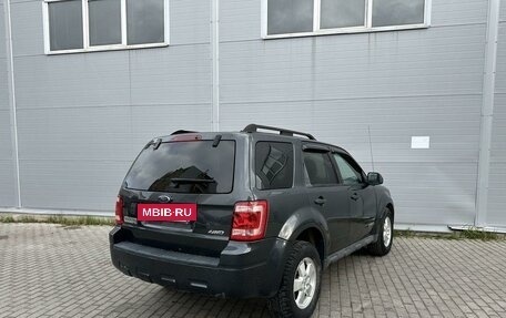 Ford Escape II, 2007 год, 495 000 рублей, 4 фотография