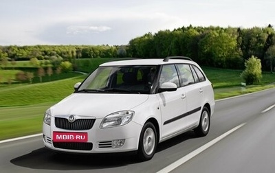 Skoda Fabia II, 2010 год, 400 000 рублей, 1 фотография