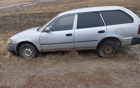 Toyota Corolla, 1994 год, 125 000 рублей, 5 фотография