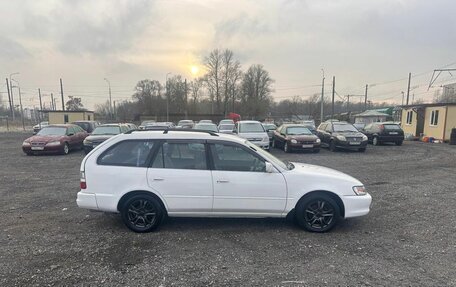 Toyota Corolla, 1999 год, 299 700 рублей, 4 фотография