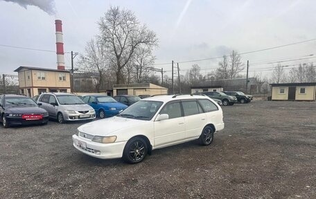 Toyota Corolla, 1999 год, 299 700 рублей, 2 фотография