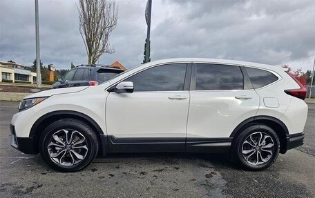 Honda CR-V IV, 2020 год, 3 742 000 рублей, 7 фотография