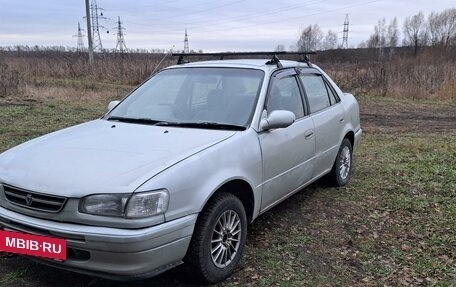 Toyota Corolla, 1996 год, 179 000 рублей, 2 фотография