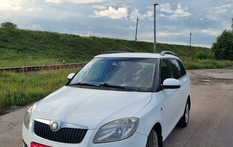 Skoda Fabia II, 2010 год, 500 000 рублей, 1 фотография