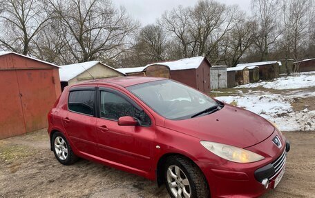 Peugeot 307 I, 2007 год, 420 000 рублей, 15 фотография