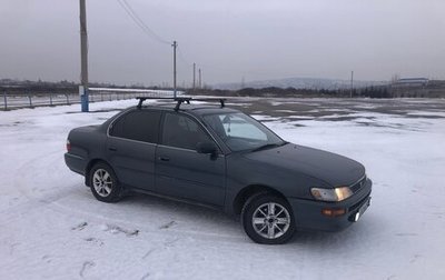 Toyota Corolla, 1993 год, 298 000 рублей, 1 фотография