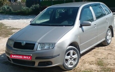 Skoda Fabia I, 2007 год, 495 000 рублей, 1 фотография