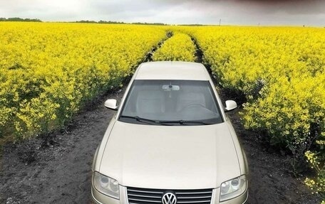 Volkswagen Passat B5+ рестайлинг, 1996 год, 580 000 рублей, 4 фотография