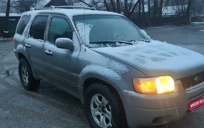 Ford Escape II, 2004 год, 480 000 рублей, 1 фотография