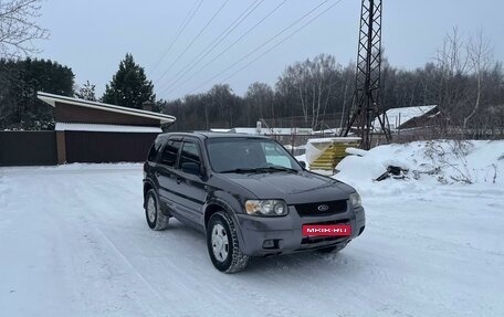 Ford Escape II, 2002 год, 599 000 рублей, 3 фотография