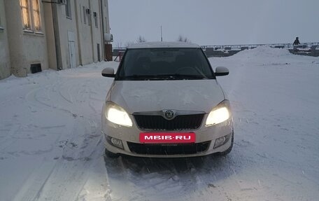 Skoda Fabia II, 2011 год, 490 000 рублей, 3 фотография