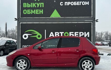 Peugeot 307 I, 2007 год, 359 000 рублей, 8 фотография