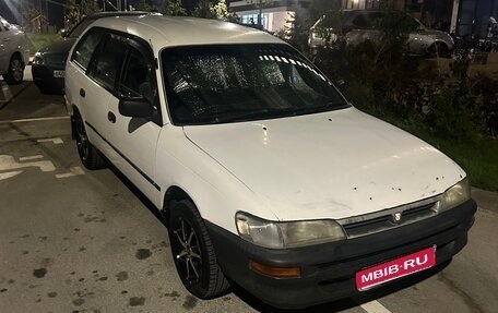 Toyota Sprinter VIII (E110), 2002 год, 330 000 рублей, 1 фотография