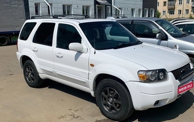 Ford Escape II, 2003 год, 700 000 рублей, 1 фотография