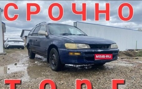 Toyota Corolla, 1996 год, 300 000 рублей, 1 фотография