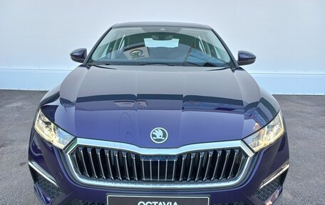 Skoda Octavia IV, 2025 год, 4 100 000 рублей, 2 фотография
