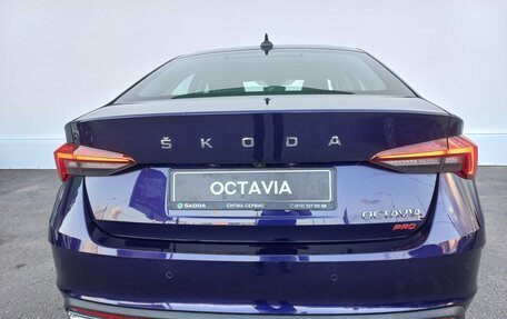 Skoda Octavia IV, 2025 год, 4 100 000 рублей, 6 фотография