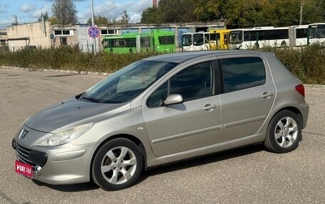 Peugeot 307 I, 2007 год, 295 000 рублей, 1 фотография