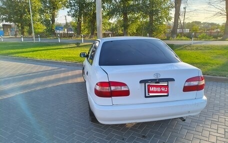 Toyota Corolla, 1998 год, 320 000 рублей, 1 фотография