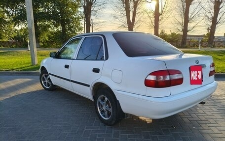 Toyota Corolla, 1998 год, 320 000 рублей, 12 фотография