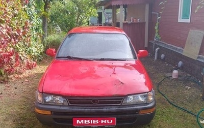 Toyota Corolla, 1995 год, 150 000 рублей, 1 фотография