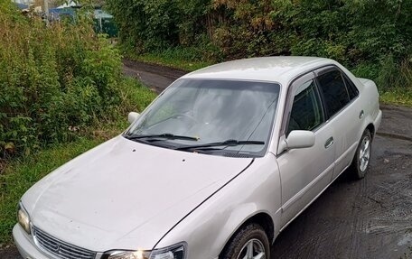 Toyota Corolla, 1999 год, 290 000 рублей, 3 фотография