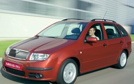 Skoda Fabia I, 2007 год, 300 000 рублей, 1 фотография