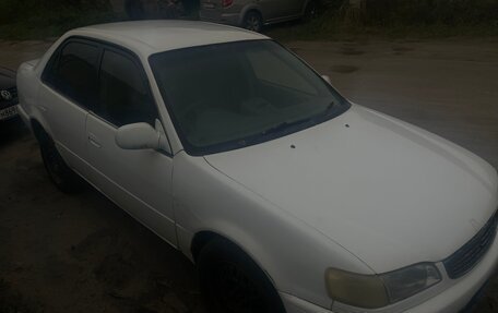 Toyota Corolla, 1997 год, 160 000 рублей, 3 фотография