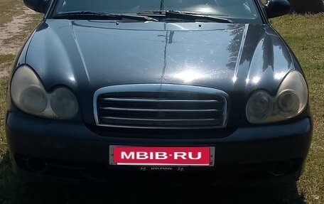Hyundai Sonata IV рестайлинг, 2004 год, 330 000 рублей, 1 фотография