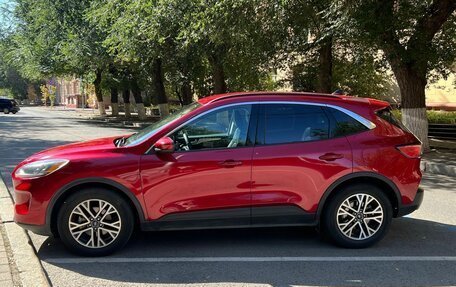 Ford Escape, 2020 год, 1 680 000 рублей, 1 фотография