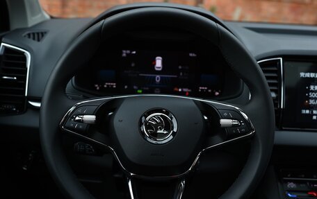 Skoda Karoq I, 2025 год, 3 000 000 рублей, 16 фотография