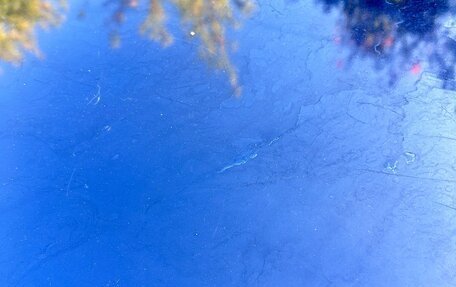 KIA Rio III рестайлинг, 2016 год, 680 000 рублей, 13 фотография