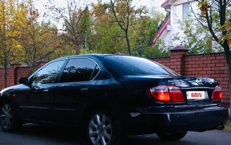 Nissan Maxima VIII, 2004 год, 539 000 рублей, 8 фотография