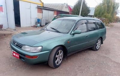 Toyota Corolla, 1995 год, 265 000 рублей, 1 фотография