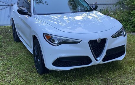 Alfa Romeo Stelvio, 2020 год, 3 600 000 рублей, 1 фотография