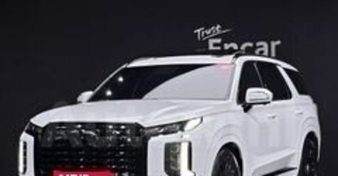 Hyundai Palisade I, 2024 год, 4 554 000 рублей, 1 фотография